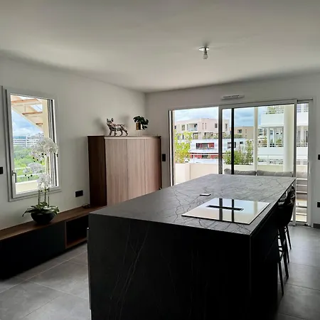 Skyline Rooftop Swim Apartment Montpellier