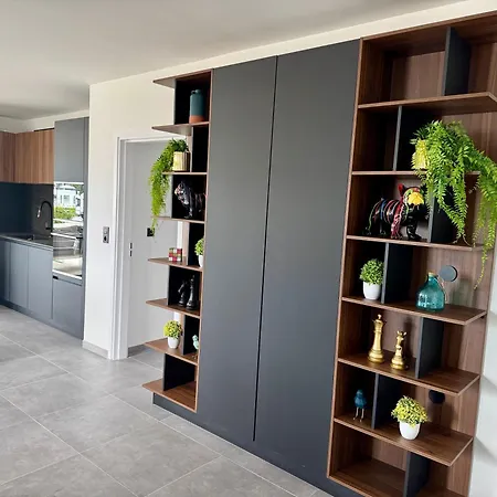 Skyline Rooftop Swim *